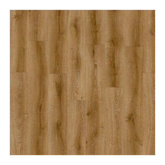 51586-avvio-sandhill oak 22866.jpg
