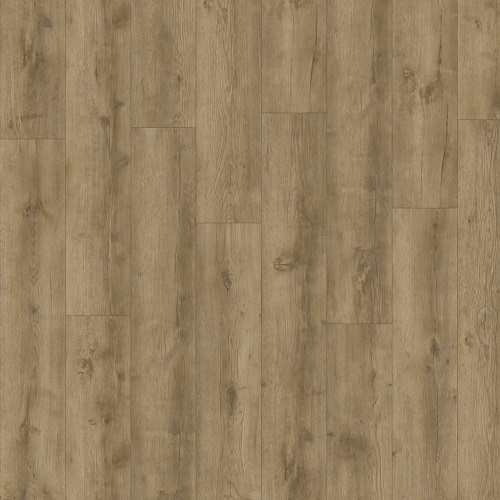 Product detail of AVVIO - Major Oak 24863