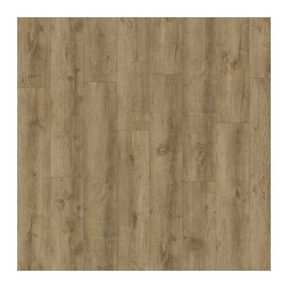 51587-avvio-major oak 24863.jpg