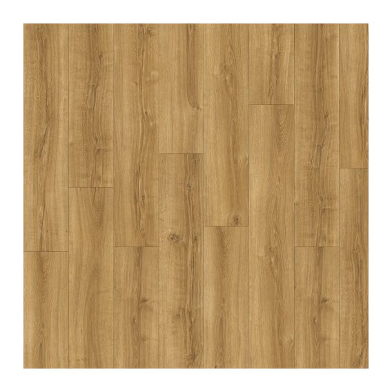 51589-avvio-summer oak 22565.jpg