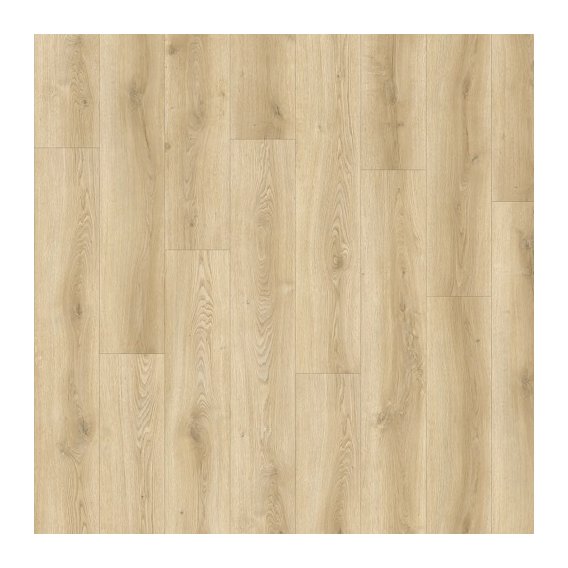 51590-avvio-sandhill oak 22315.jpg