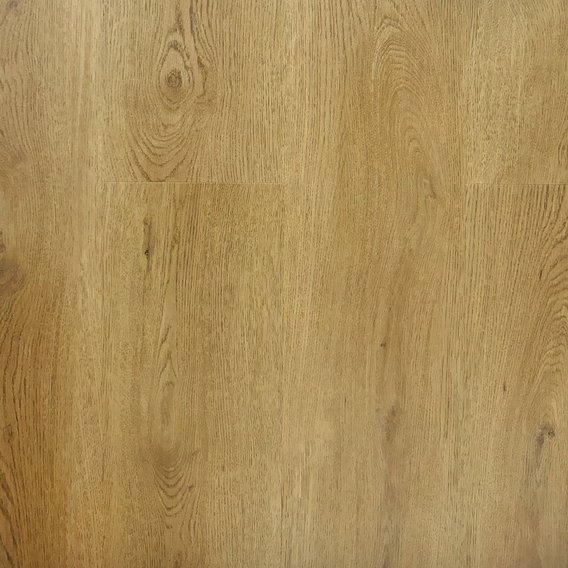 BiClick_Acoustic_CBCA_42432_Dub_Noble