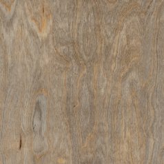 Bleached Elm.jpg