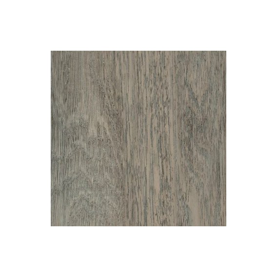 Trent Oak SF3W2777.jpg