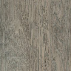 Trent Oak SF3W2777.jpg