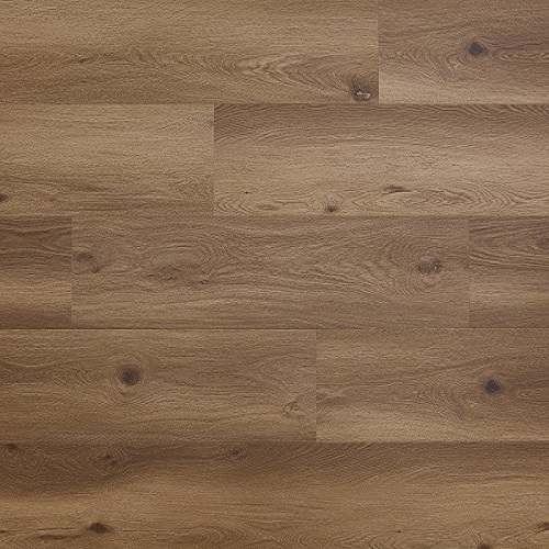 Product detail of Arbiton Woodric Eir Acoustic Dub Dallas CWSA 211