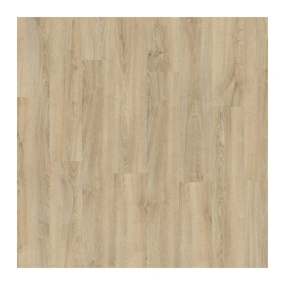 Kentucky Oak 83226.jpg