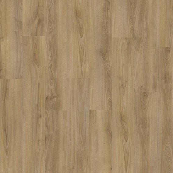 Kentucky Oak 83847.jpg