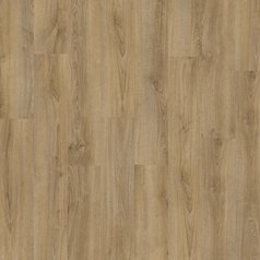 Kentucky Oak 83847.jpg