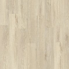 Stellata Oak 89241.jpg