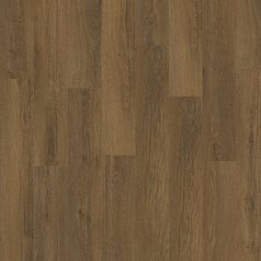 Stellata Oak 89876.jpg
