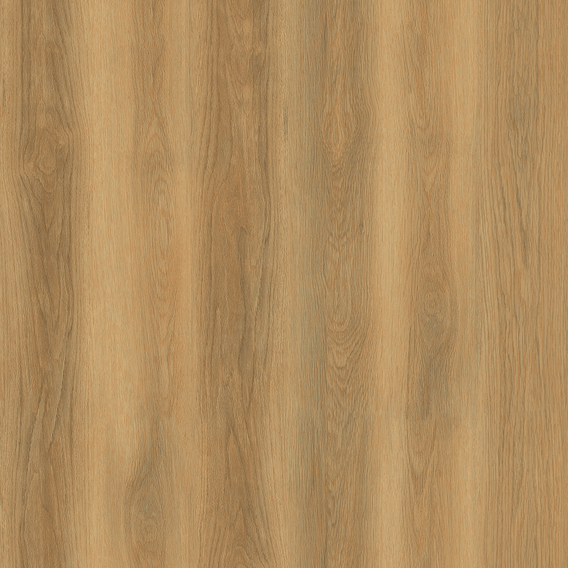 golden-oak.png