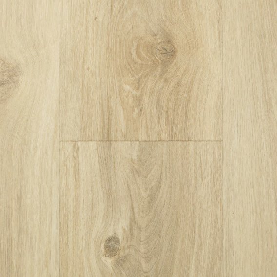 Aspecta_Solid_PRO_55_Almond