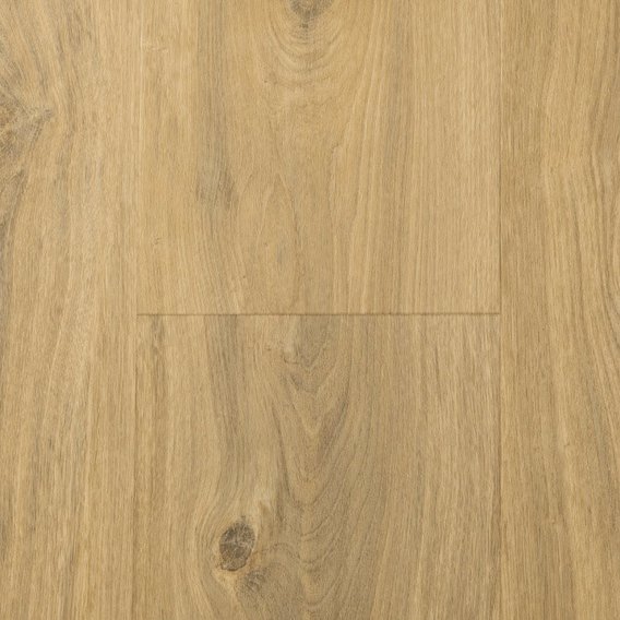 Aspecta_Solid_PRO_55_Macadamia