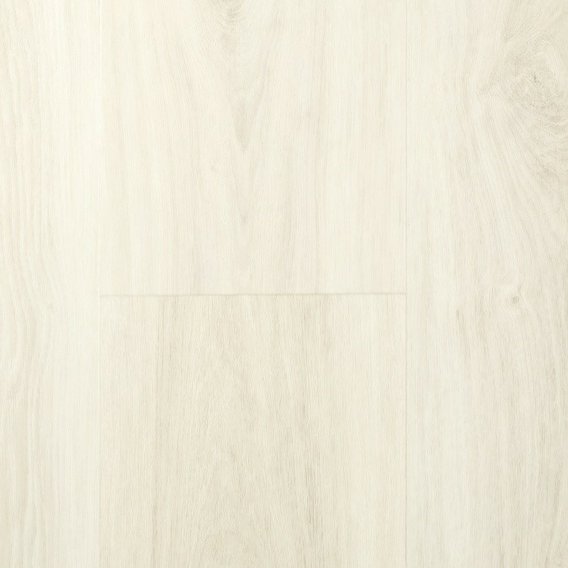 Aspecta_Solid_PRO_55_Milk