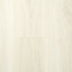 Aspecta_Solid_PRO_55_Milk