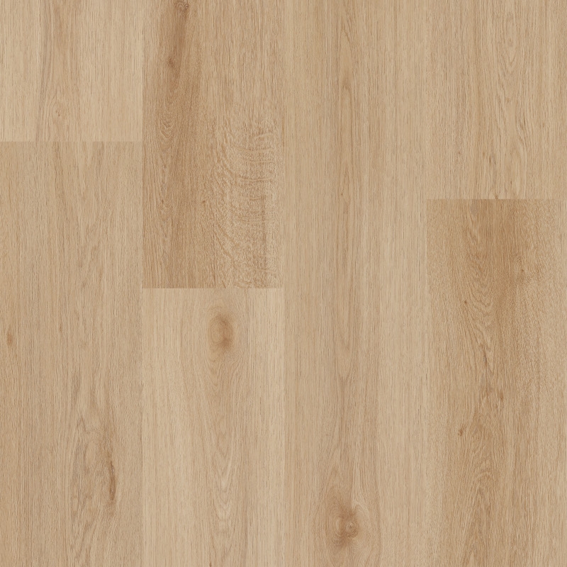 BiClick Acoustic CBCA 41582 Monument Oak