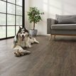 COREtec 50LVR9601 Jasper Oak 01 in.jpg