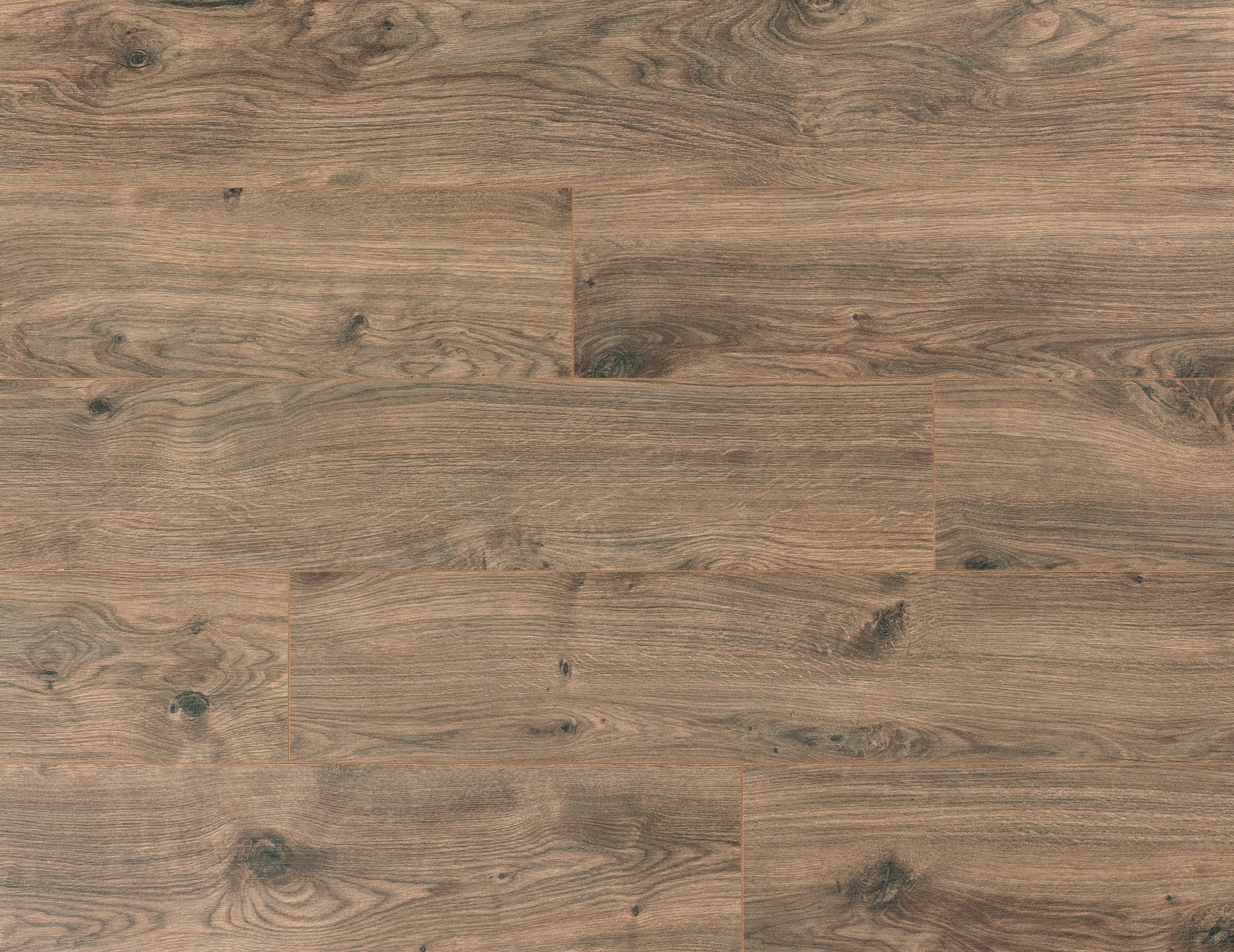 Cadenza Allegro Brown K1511 - thumb (1)