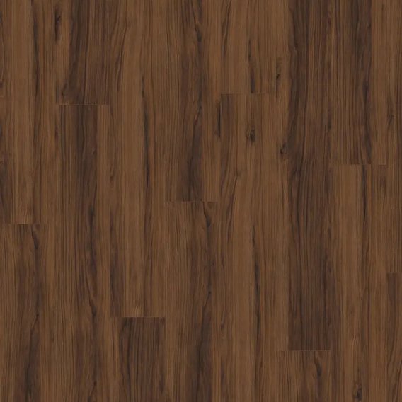 EL1307_Orech_Warmia_hnedy