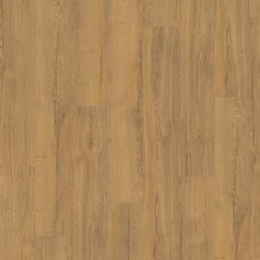 EL2096_WV4_Dub_Elva_medovy