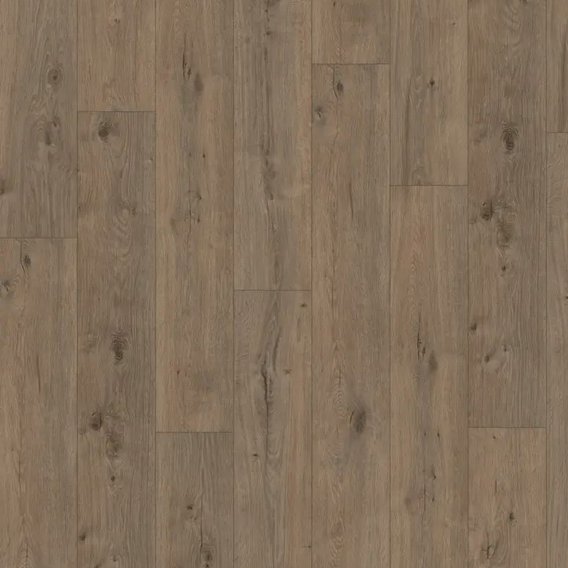 EL2835_Dub_Murom_prirodni