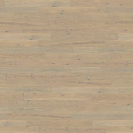 Dove Grey 041N.jpg