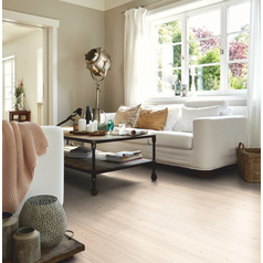 Borovice_Alexandria_2