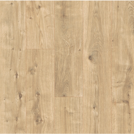 Dub_Dunnington_svetly