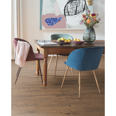 Dub_Dunnington_tmavy_2