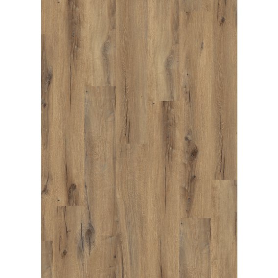 Cedar_Brown_0850