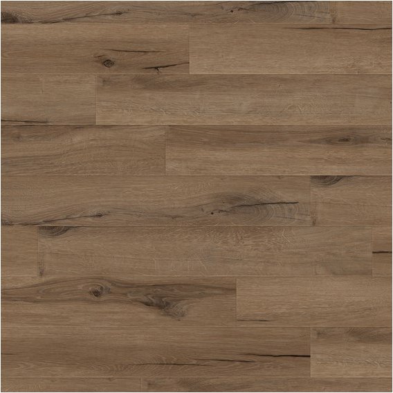 Cedar_Dark_Brown