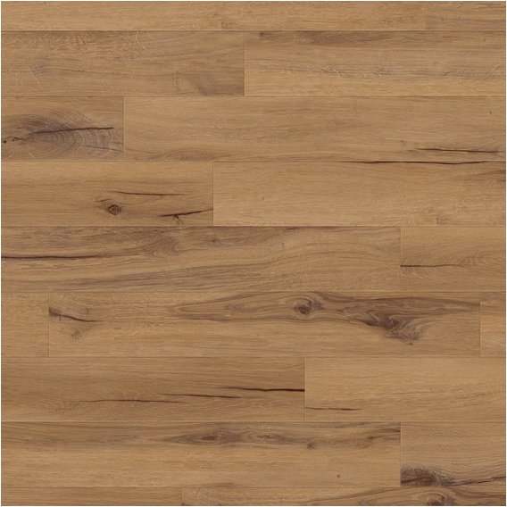Cedar_Golden