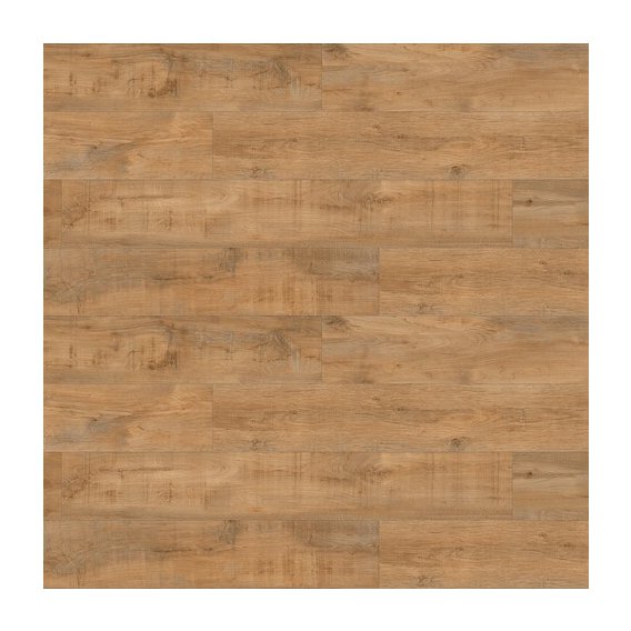 Savage_Oak_Honey