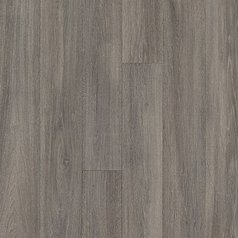 2004 Macchiato Brown.jpg