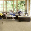 Gerflor Texline Nature Forest Gold 2383 in.jpg