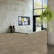 Gerflor Texline Nature Sherwood Nut 2276 in.jpg