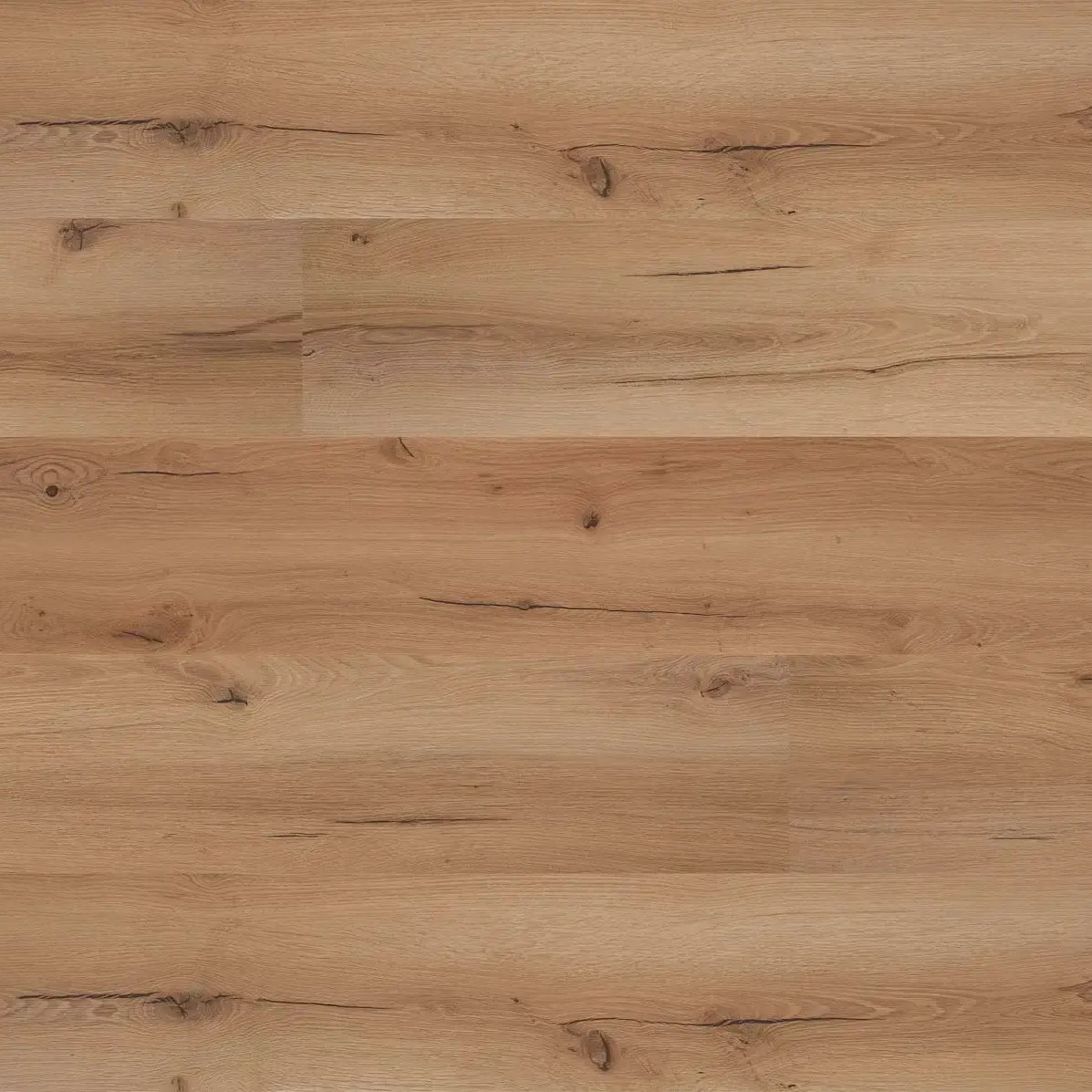 Levně Floor Forever Grandissimo Plus 0,55 Dub Achat 3028