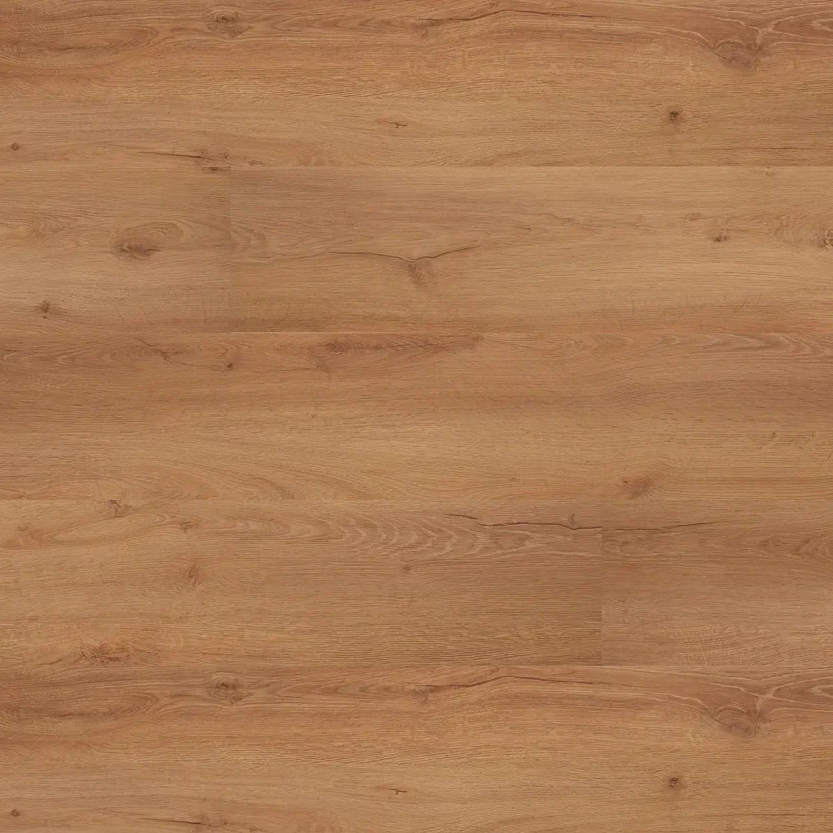 Levně Floor Forever Grandissimo Plus 0,55 Dub Axinit 3026