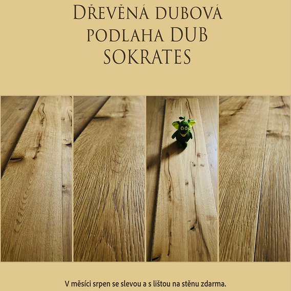 dub_sokrates_kpp_podlaha.jpg