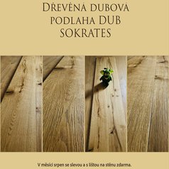 dub_sokrates_kpp_podlaha.jpg