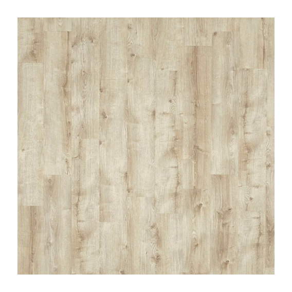 Galway Oak 87269.png