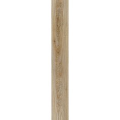 Blackjack Oak 22229 2.jpeg