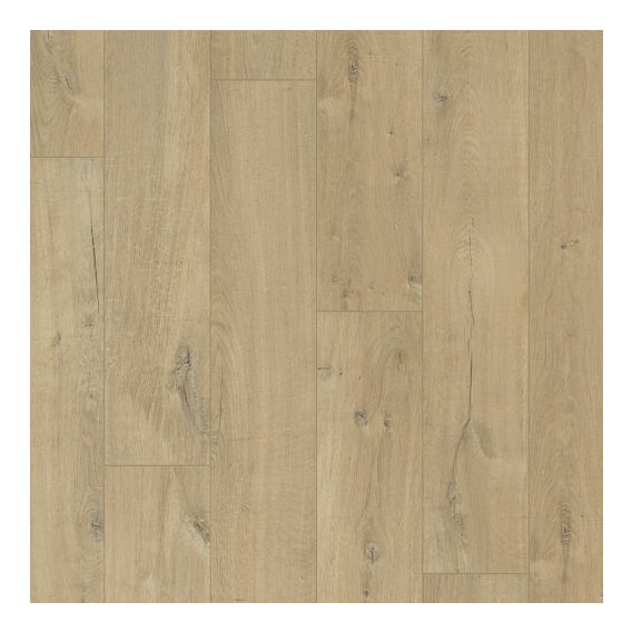 Dub jemný hnědý.jpg