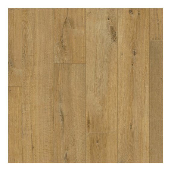 Dub jemný přírodní.jpg