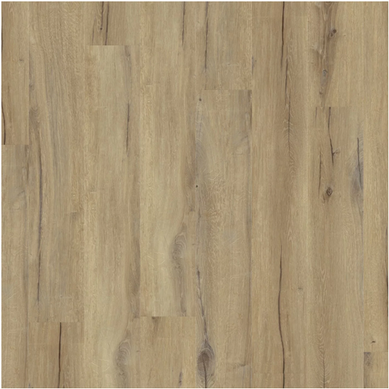 Daintree Brown.png