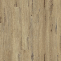 Daintree Brown.png