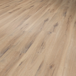 Daintree Brown_2.png