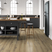 Daintree Brown_5.png