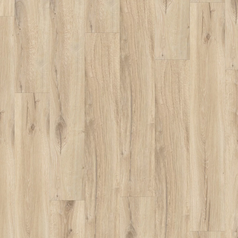 Daintree Natural.png